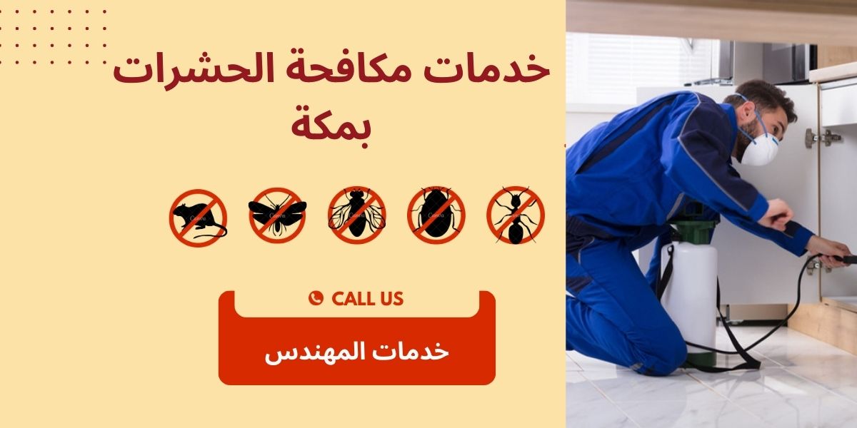 شركة مكافحة حشرات بمكة المكرمة