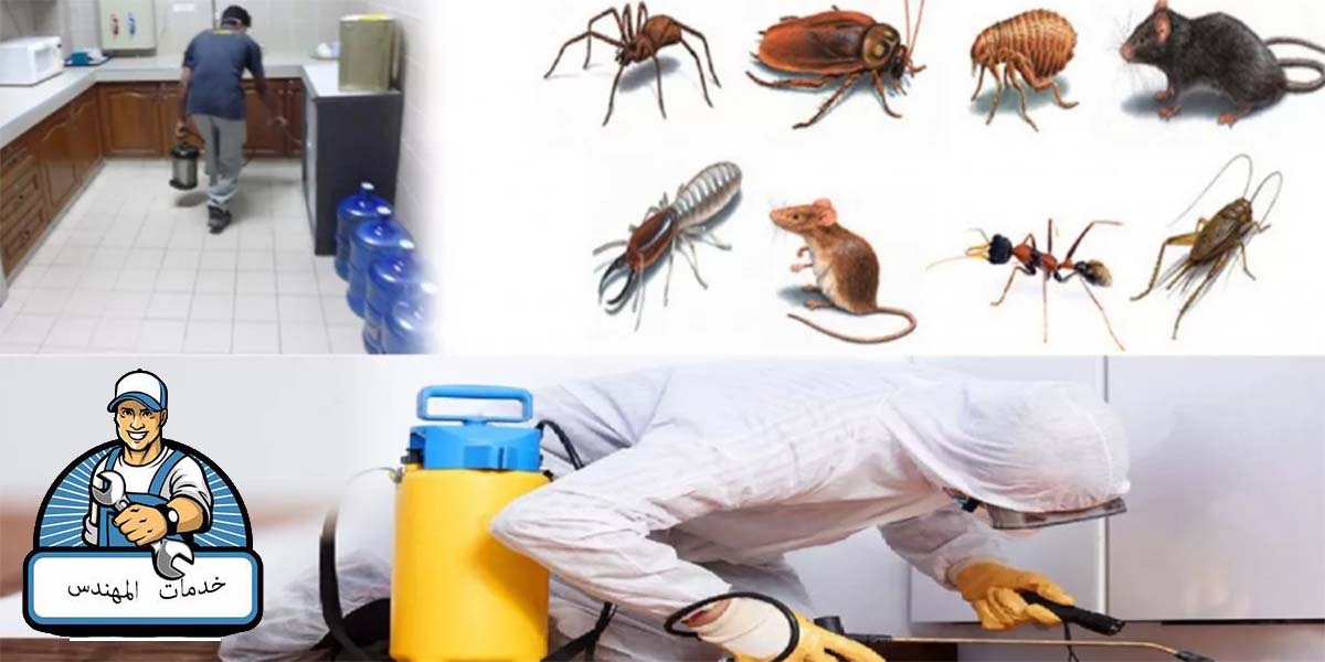 شركة مكافحة حشرات بالطائف , شركة رش حشرات بالطائف , شركات مكافحة الحشرات في الطائف , شركة مكافحة النمل الابيض بالطائف , شركة مكافحة الباعوض بالطائف , شركة رش مبيدات بالطائف , ارخص شركة مكافحة حشرات بالطائف