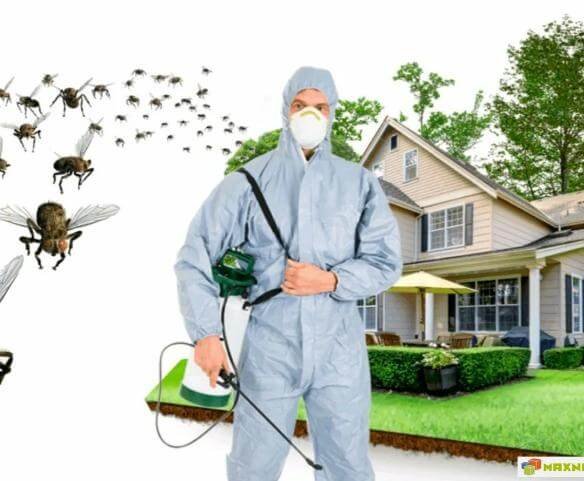 شركة رش مبيد حشرات بالرياض