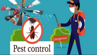 شركة رش مبيدات بمكة المكرمة