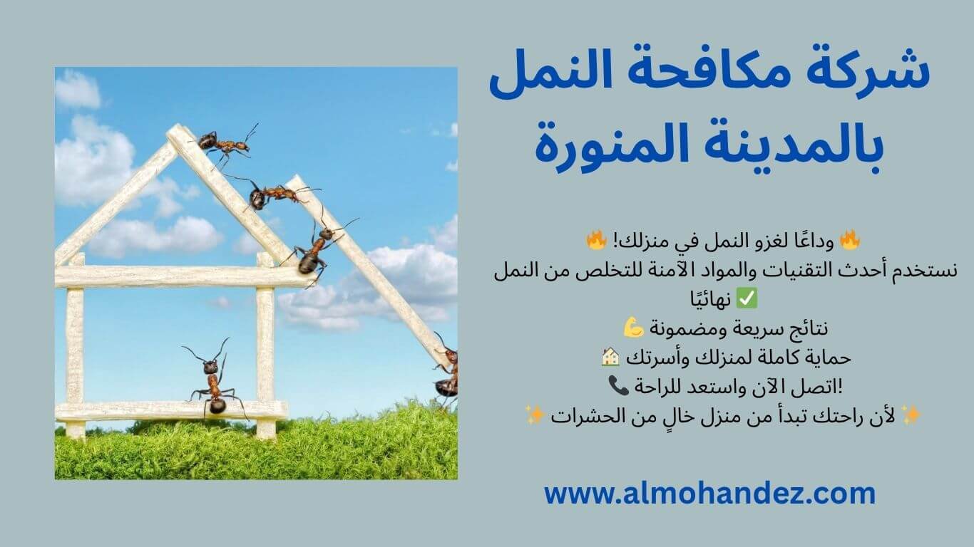 مكافحة النمل بالمدينة